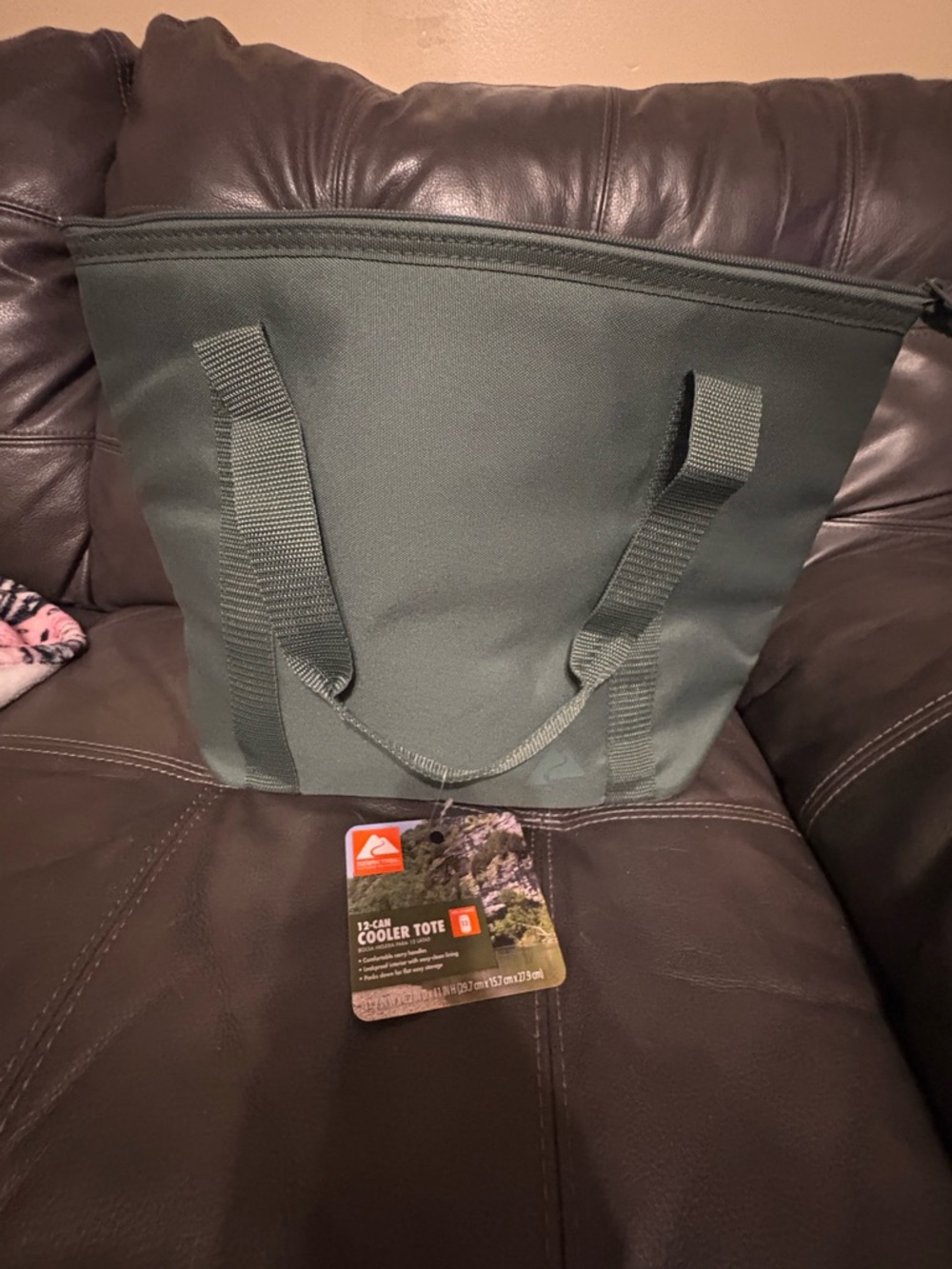 Quiksilver Olive Green Cooler Tote Bag